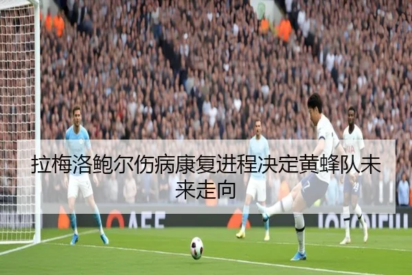 la-mei-luo-bao-er-shang-bing-kang-fu-jin-cheng-jue-ding-huang-feng-dui-wei-lai-zou-xiang-3-518.jpg