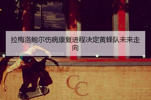 拉梅洛鲍尔伤病康复进程决定黄蜂队未来走向