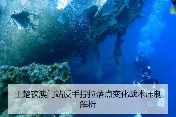 wang-chu-qin-ao-men-zhan-fan-shou-ning-la-luo-dian-bian-hua-zhan-shu-ya-zhi-jie-xi-2-125.jpg