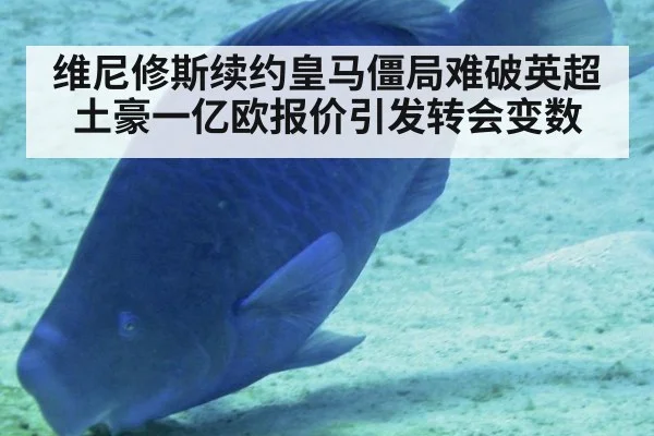 维尼修斯续约皇马僵局难破英超土豪一亿欧报价引发转会变数