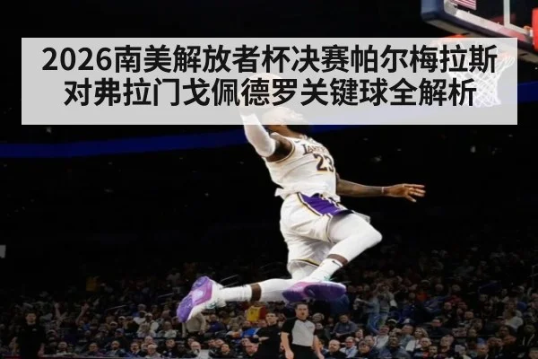2026南美解放者杯决赛帕尔梅拉斯对弗拉门戈佩德罗关键球全解析